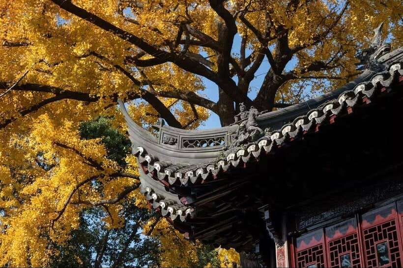 China Hollywood and Yiwu-the offline Temu commercial heaven - Key points at a glance