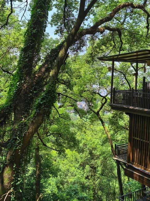 Chongqing: Historical Blocks, Temple, and Mountain Tour - Who should book this four-hour outing?