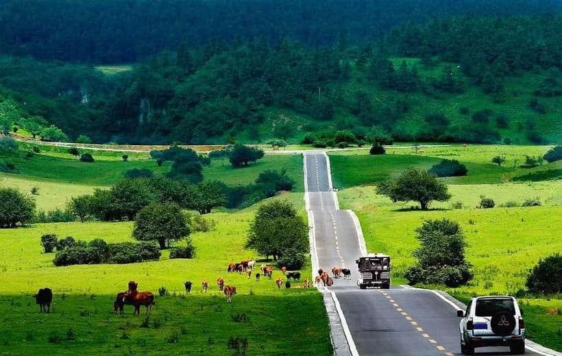 Chongqing One-Day Trip: Wulong's 3 Essentials - Fairy Mountain and its high meadows