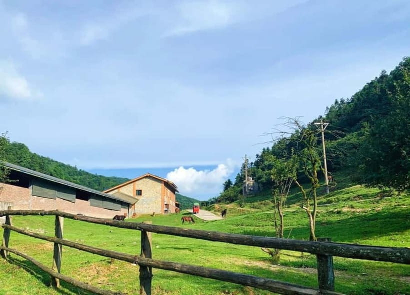 Chongqing One-Day Trip: Wulong's 3 Essentials - Why the Fairy Mountain road train helps