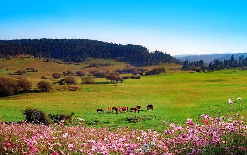 Chongqing:One-day Wulong HikeTrip(GeoPark+Fairy Mt)car incld - Key points before you book