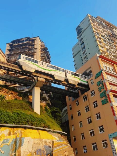 Chongqing Private City Tour: Must-Sees All-in-One - Beibin Road, Qiansimen Bridge, and the Grand Theatre after dark