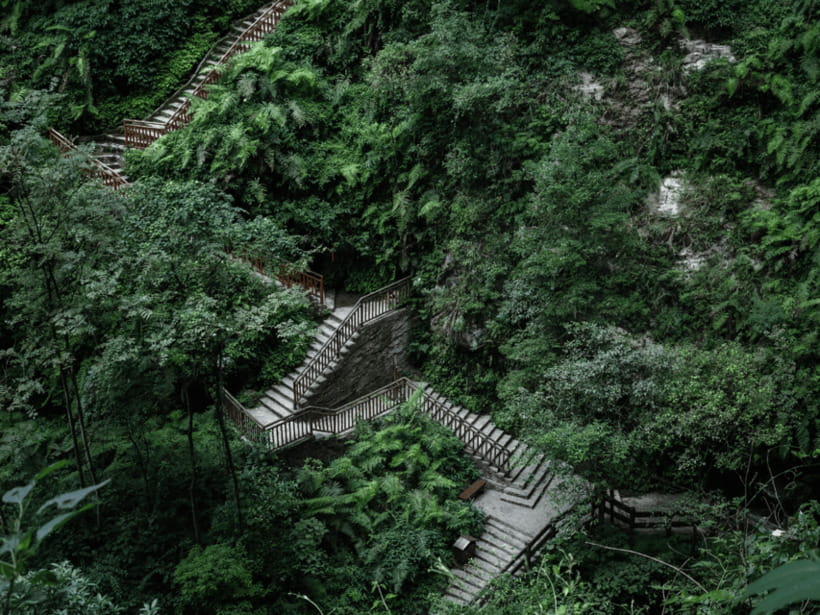 Chongqing: Wulong 2 Spots All-inclusive Luxury Private Trip - Who Will Enjoy This Wulong Day Trip?