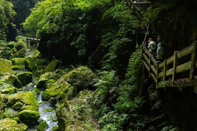 Chongqing Wulong: All inclusive luxury private trip to 2 spots - Lunch in the park, with practical help