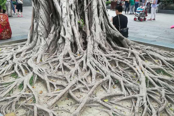 Customised Private Guangzhou City Tour with Flexible Itinerary - How much value do you get for $180?