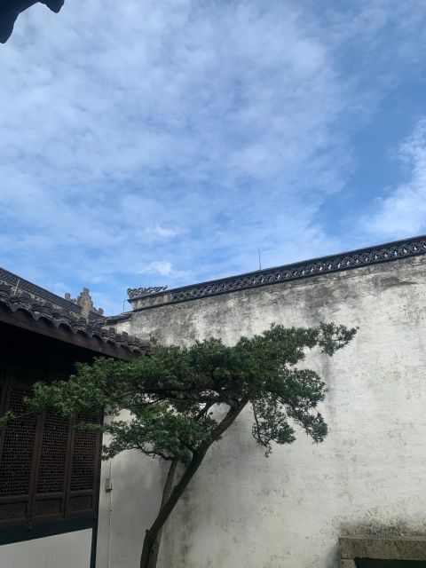 Customized Hangzhou Guided Tour Based on Your Interests - Hefang Street and Song dynasty entertainment
