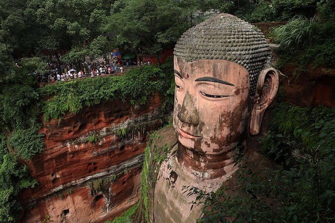 Day tour Chengdu Panda Base Leshan Giant Buddha with local Lunch - Tea Terraces on the Way Back