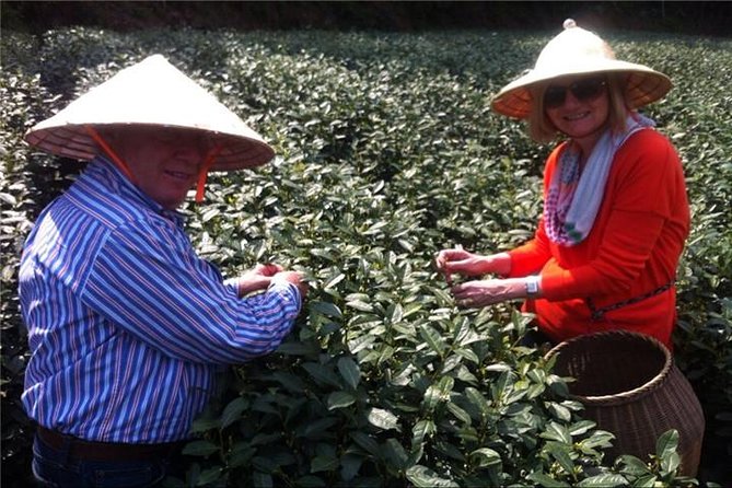 Day Tour to Discover the Secrets of Hangzhou's Tea Culture - The Eighteen Imperial Tea Bushes and Longjing’s Royal Story