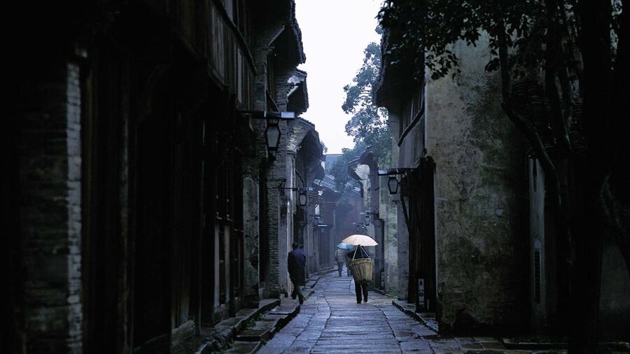 Delve into Wuzhen Water Town: Private Tour from Shanghai - Xi Zha, the West Gate, and the town at its most scenic