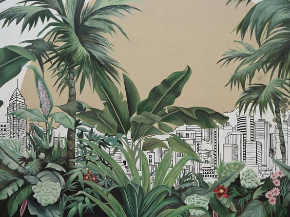 Discover the Best of Hong Kong Street Art - Private tour - Walking both sides of Hollywood Road