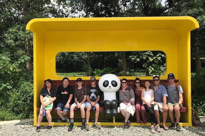 Dujiangyan irrigation+Mt. Qingcheng or Panda Park Day Tour - Two very different ways to spend the morning