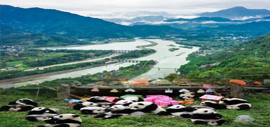 Dujiangyan panda base and irrigation system park day tour - Who should book this day?