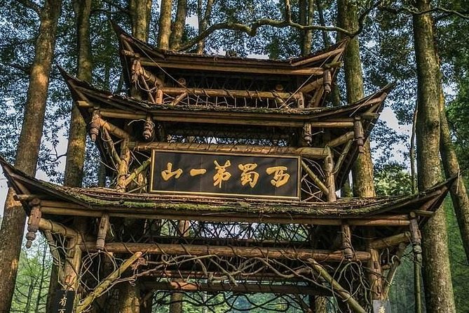 Dujiangyan Panda Base and Mount Qingcheng - How Much Does the $60 Price Really Cover?