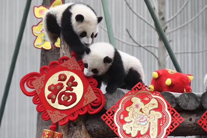 Dujiangyan Panda Base and Mount Qingcheng - The Road to Mount Qingcheng