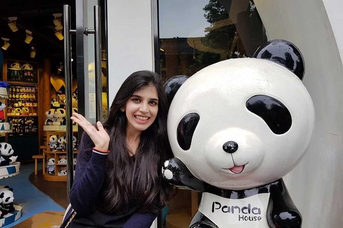 Everything Panda Private Day Tour in Chengdu - Four hours among giant pandas and red pandas