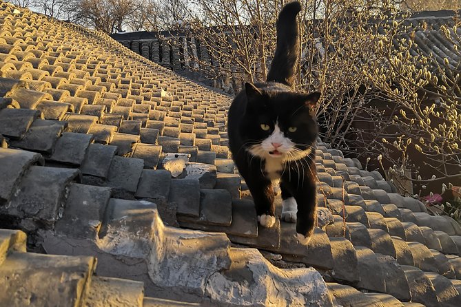 Explore Ancient Chinese Architecture & Meet its People - What the three-hour route feels like