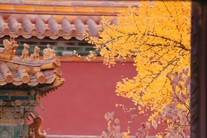 Explore Beijing with camera--City Walk tour with Professional photography guide - How much walking should you expect?