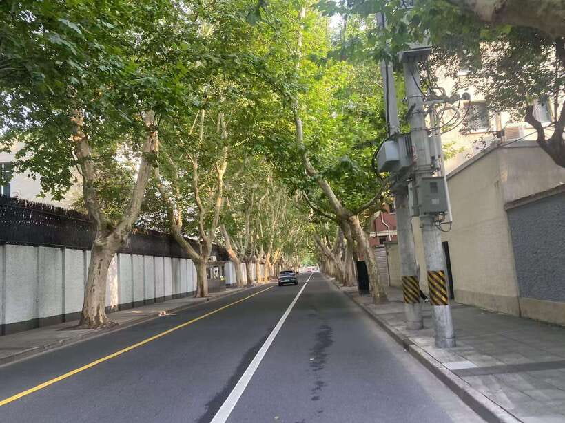 Explore Shanghai's Old Town & Suzhou River by Bike - The Former French Concession and its shaded streets