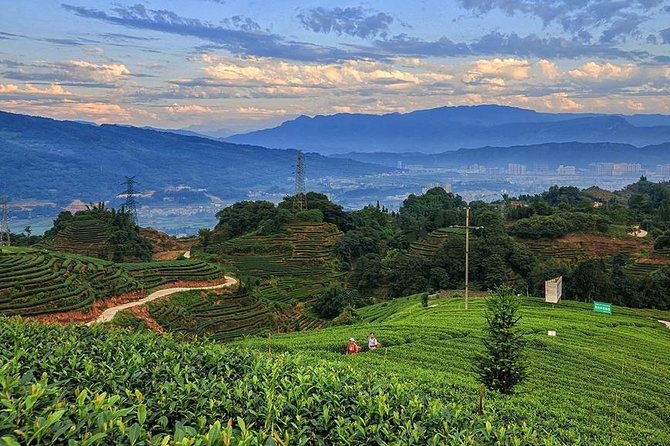 Flexible Hangzhou Private Day Tour with Lunch - What the $169.54 price really includes