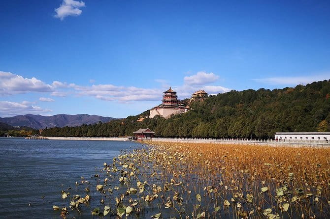 Forbidden City Ticket Booking - Timing, transport, and physical effort