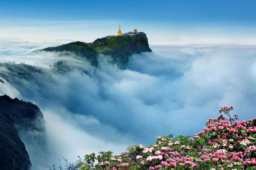 From Chengdu: Mount Emei Day Trip with Golden Summit Visit - Why the guide matters at $338 per person
