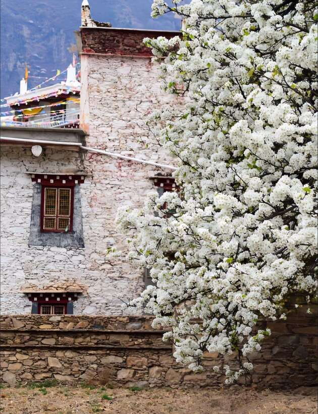 From Chengdu: Tibetan Village Live as a Tibetan Day Tour - Who should book this private day