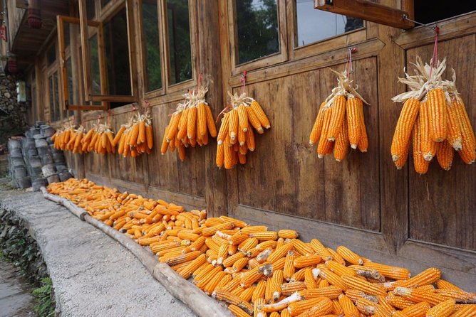 From Guilin/Yangshuo: Longji Rice Terraces and Ethnic Minority Village Day Tour - How strong is the guiding?