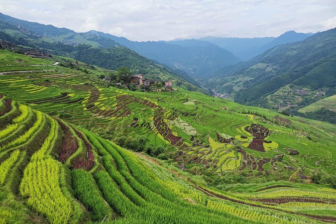 From Guilin/Yangshuo: Longji Rice Terraces and Ethnic Minority Village Day Tour - Is $168 a fair price?