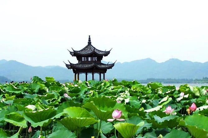 From Shanghai: Hangzhou Private Day Trip by Bullet Train - Longjing tea country brings scenery, tasting, and lunch