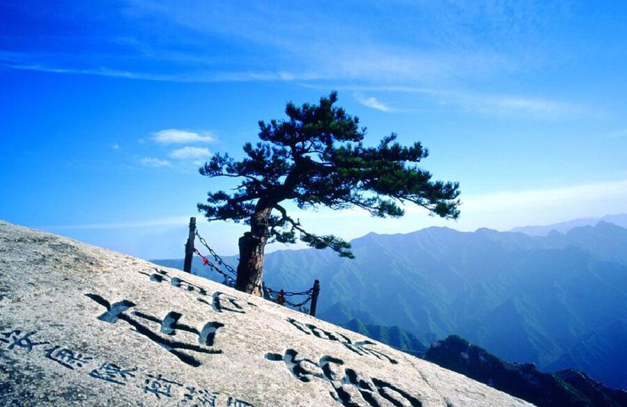 From Xi'an: Mt. Huashan Private Tour and Cable Car Ride - A closer look at the guide and driver service