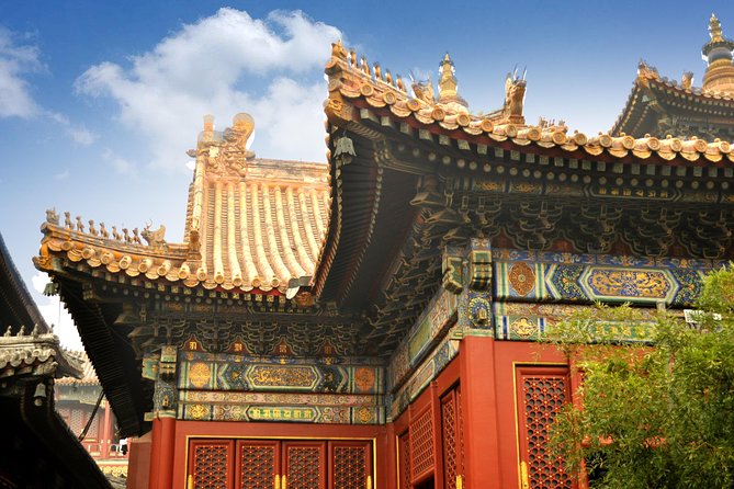 Full-Day Beijing City Tour: Hutongs, Lama Temple and Panda House - Starting at 8:00 with hotel pickup