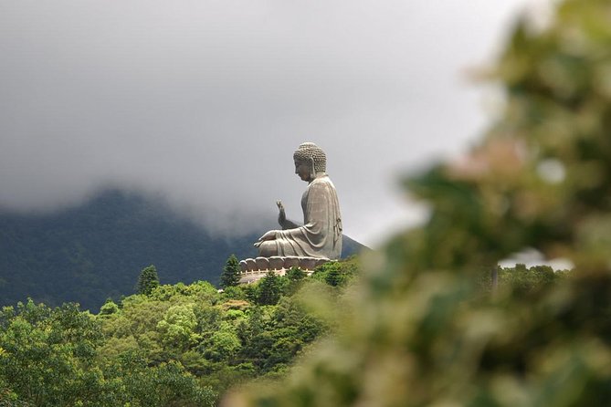 Full-Day Private Tour of Lantau Island including Big Buddha and Tai O - Riding Ngong Ping 360 above the island
