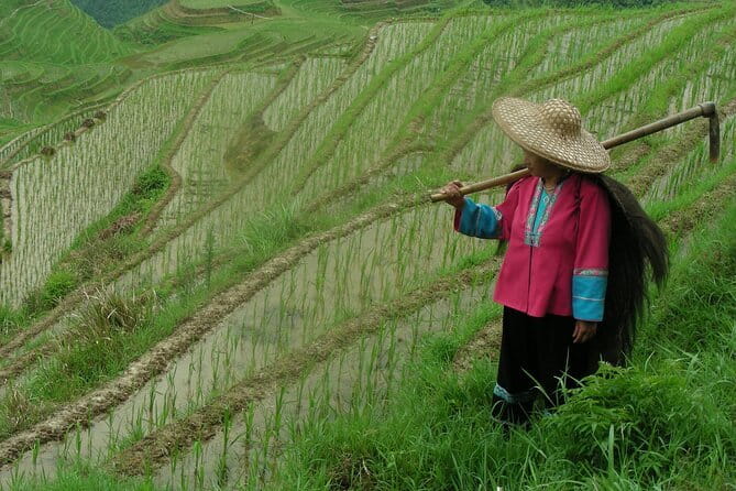 Fully-Guided Private Day Tour of Longji Terraces From Guilin - The optional Reed Flute Cave stop