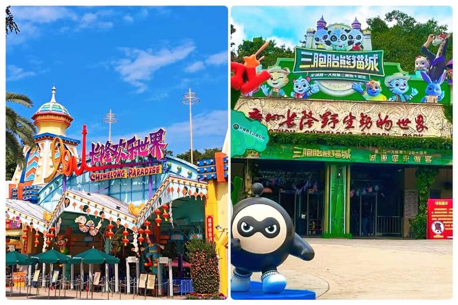 Guangzhou Chimelong: Safari Park/Paradise(Optional Day Tour) - Choosing Safari Park for pandas and large animals
