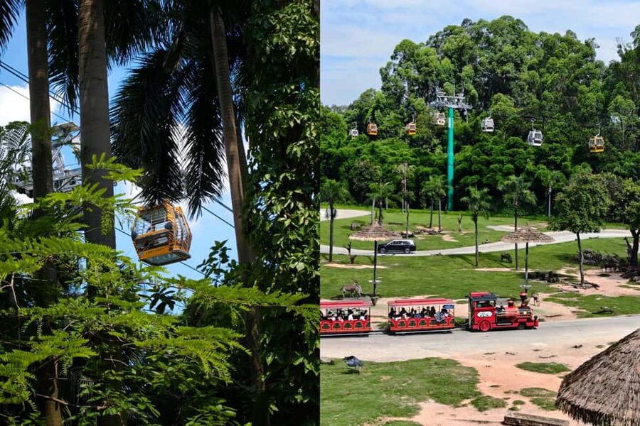 Guangzhou Chimelong: Safari Park/Paradise(Optional Day Tour) - What the feedback tells me about the experience
