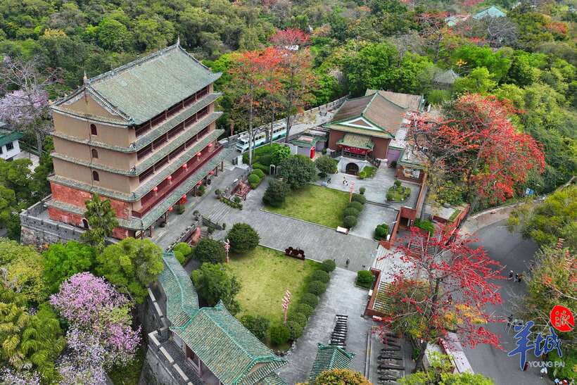 Guangzhou Full Day City Tour with Old and New Highlights - Yuexiu Park: local life beside old Guangzhou