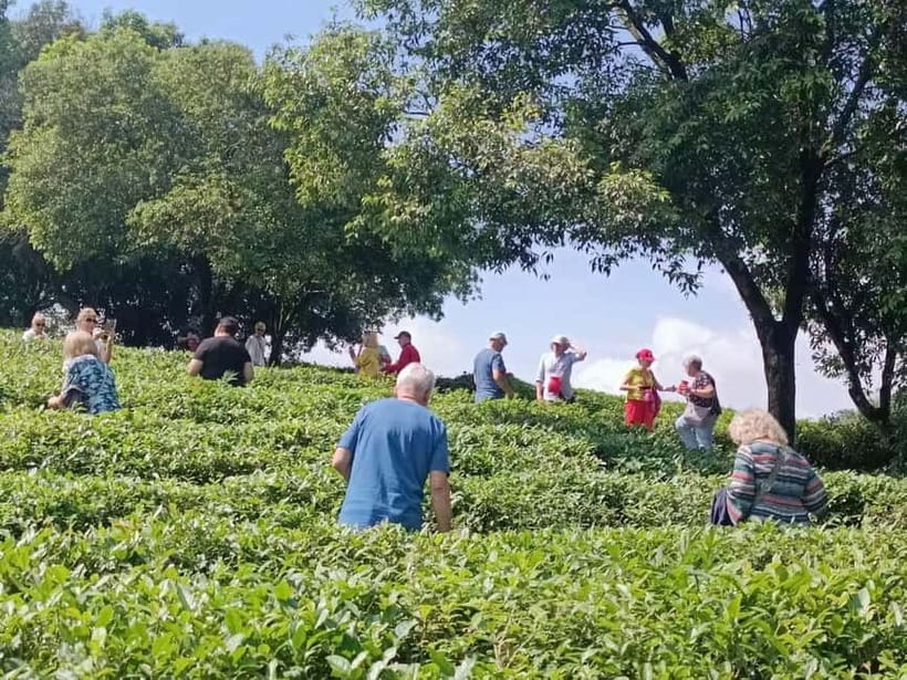 Guilin: City Tour with Elephant Hill & Ming Tea Tasting - Key points to know before booking