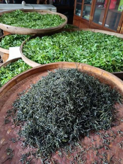 Guilin: City Tour with Elephant Hill & Ming Tea Tasting - The short ride toward Yao Mountain tea country