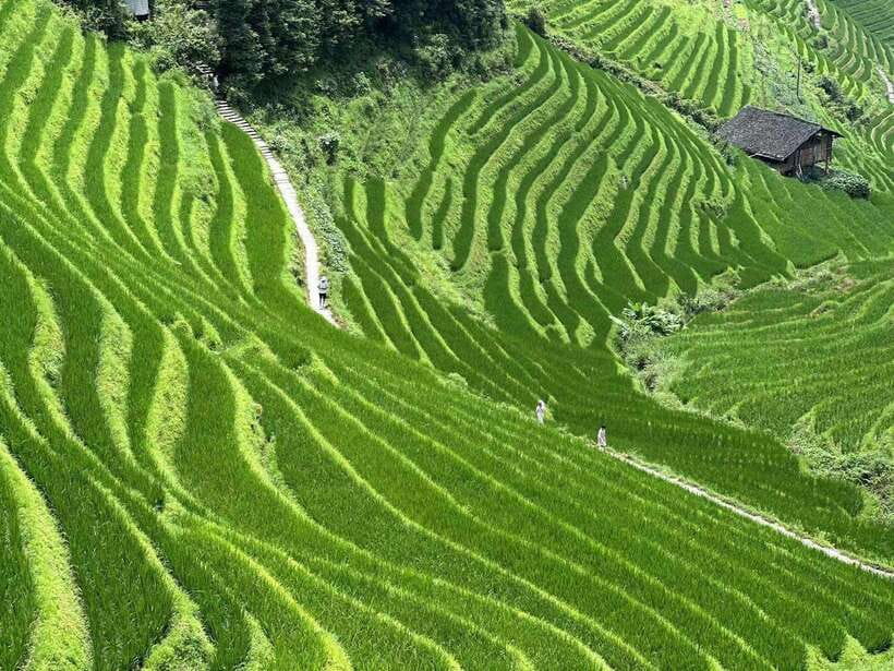 Guilin: Day tour of Longji Rice Terraces and Yangshuo - Starting in Yangshuo among the limestone hills