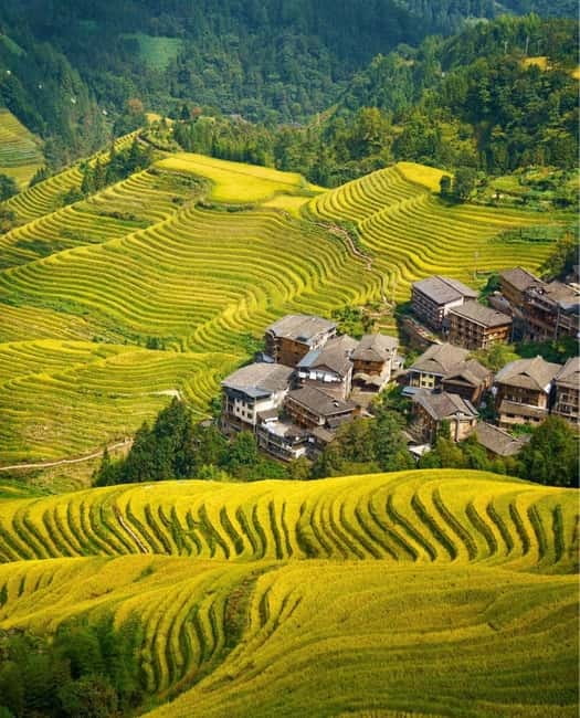 Guilin Longji: Rice Terrace with Oil-Tea Demo & Zhuang Lunch - Guzhuang Village and its old wooden homes