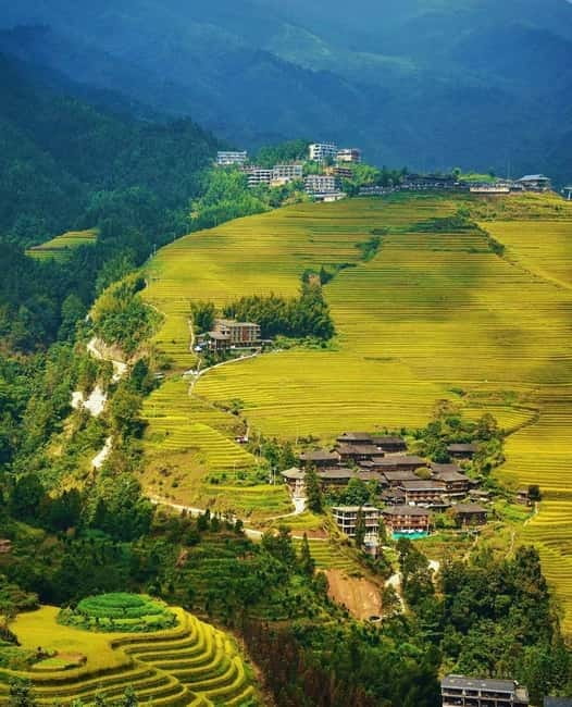 Guilin Longji: Rice Terrace with Oil-Tea Demo & Zhuang Lunch - How the guide shapes the day
