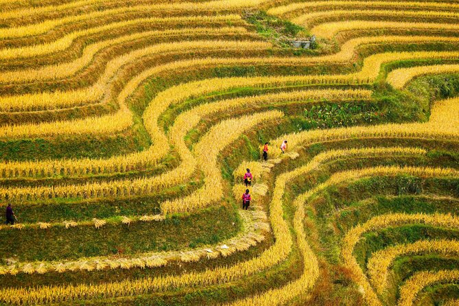Guilin: Longji Rice Terraces and Villages Private Day Tour - The 90-minute road trip from Guilin