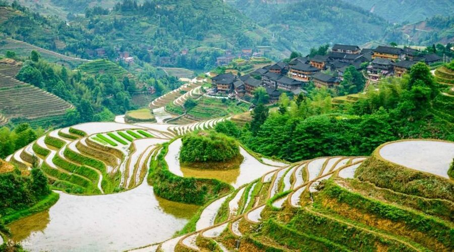Guilin: Longji Rice Terraces& Long Hair Village Private Tour - The guide can make or break this private day