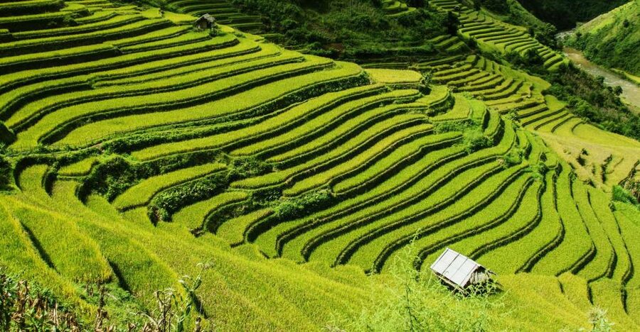 Guilin Longji Terraces Private Day Tour - Huangluo Village And The Long Hair Show