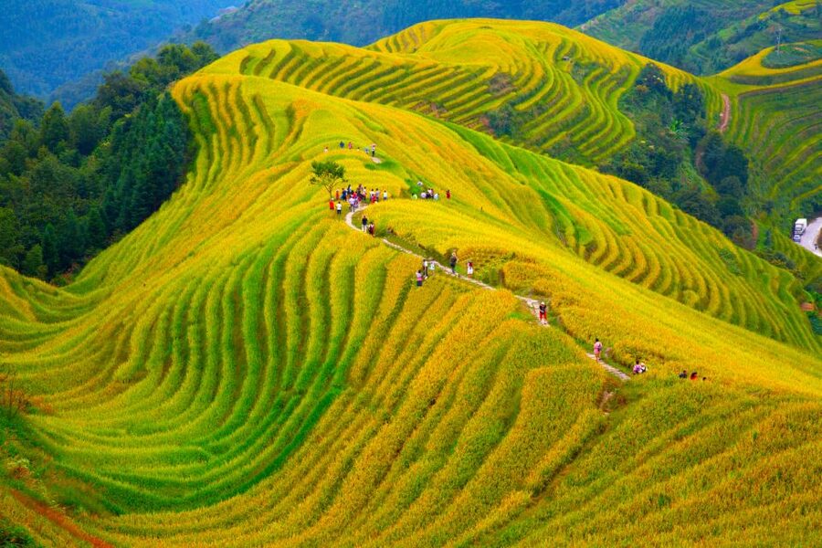 Guilin Longji Terraces Private Day Tour - The Road From Guilin To Longsheng