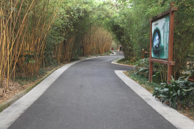 Half-Day Chengdu Panda Research Base Private Tour - Three hours among Chengdu’s giant pandas