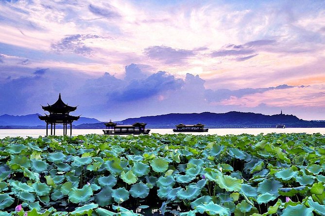 Half-Day Flexible Private Hangzhou Highlight Tour - Longjing tea fields: the most distinctive stop