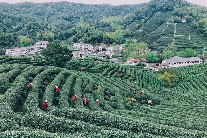 Half-Day Hangzhou Jiuxi Stream and Tea Plantation Experience - Walking through Jiuxi 18 Stream