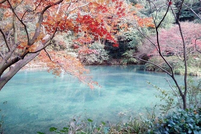 Half-Day Hangzhou Jiuxi Stream and Tea Plantation Experience - Is $118 per person a fair price?