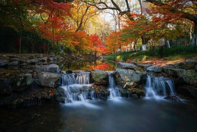 Half-Day Hangzhou Jiuxi Stream and Tea Plantation Experience - Who will enjoy this half-day tour most?